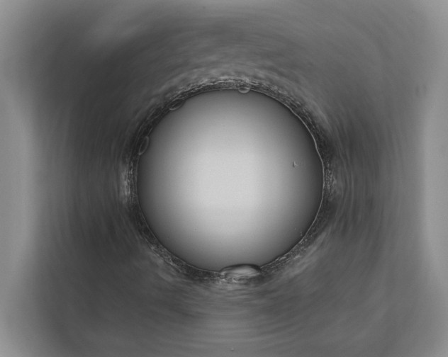 X0000112351490200908271222