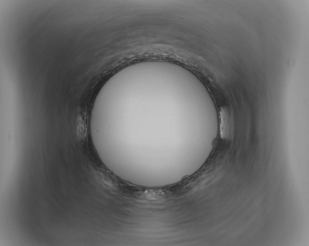 X0000112351491200908271222