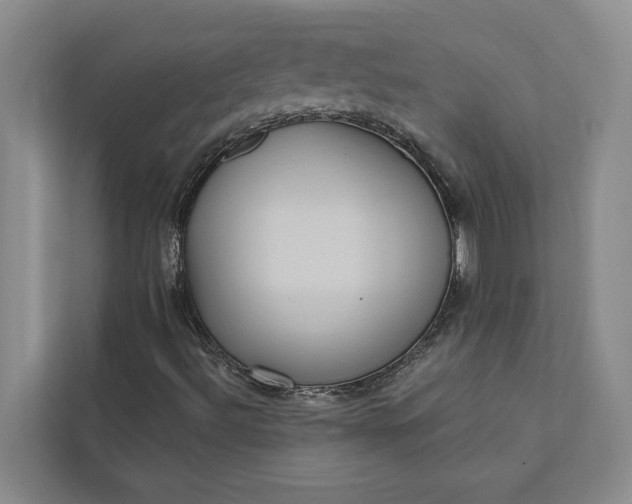 X0000112351492200908271222