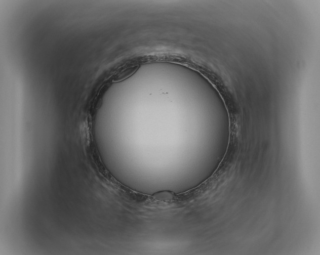 X0000112351493200908271222