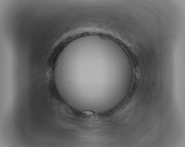X0000112351495200908271222