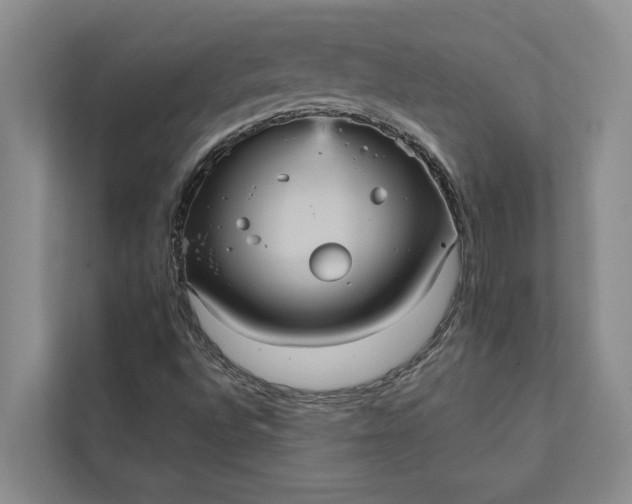 X0000112351496200908271222