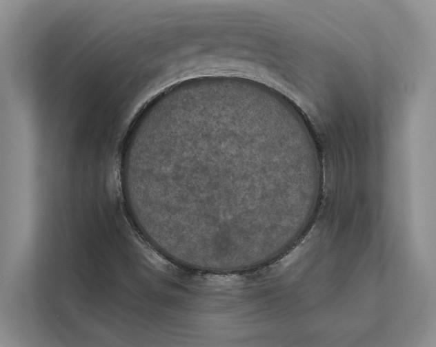 X0000112351498200908271222