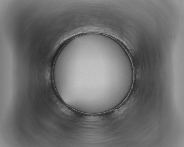 X0000112351499200908271222