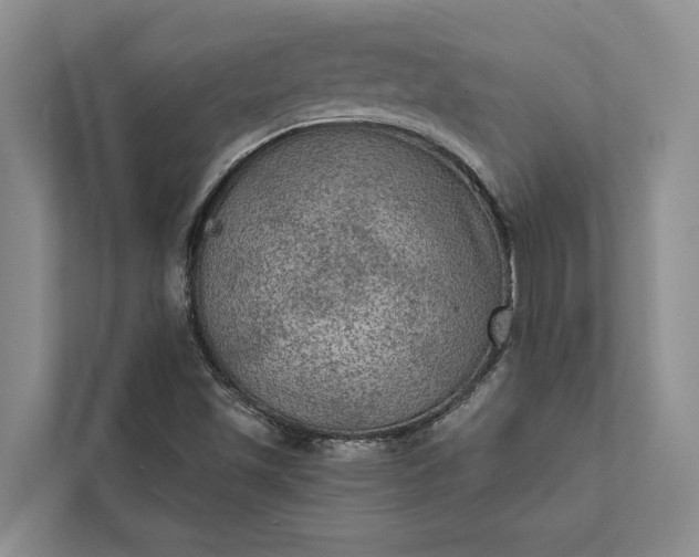 X0000112351501200908271222