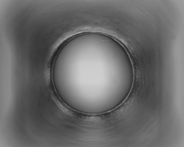 X0000112351503200908271222