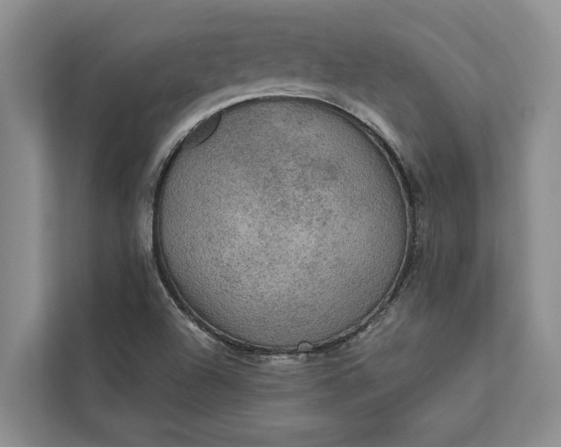 X0000112351504200908271222