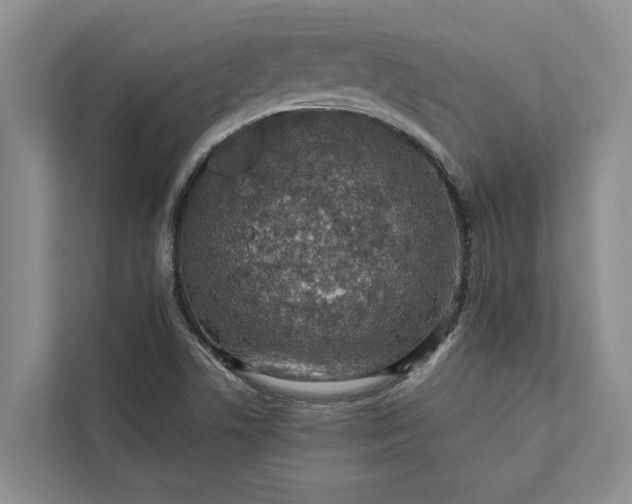 X0000112351506200908271222