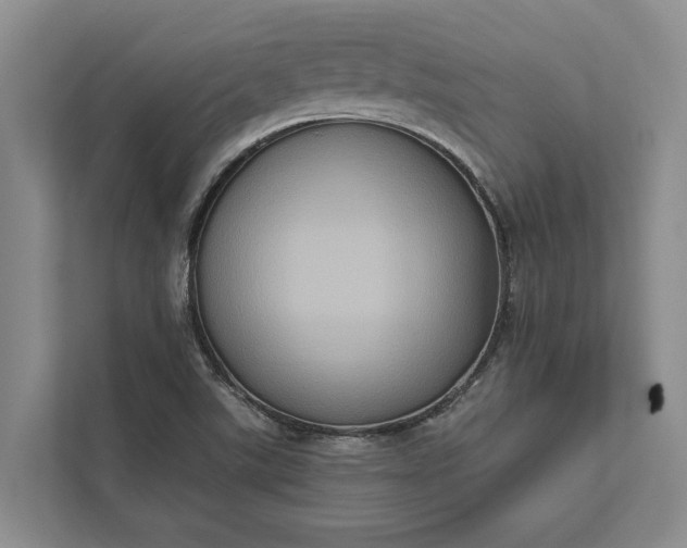 X0000112351507200908271222