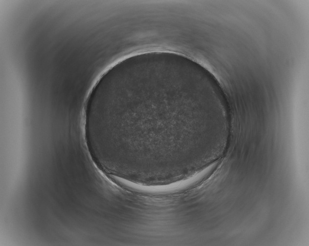 X0000112351508200908271222