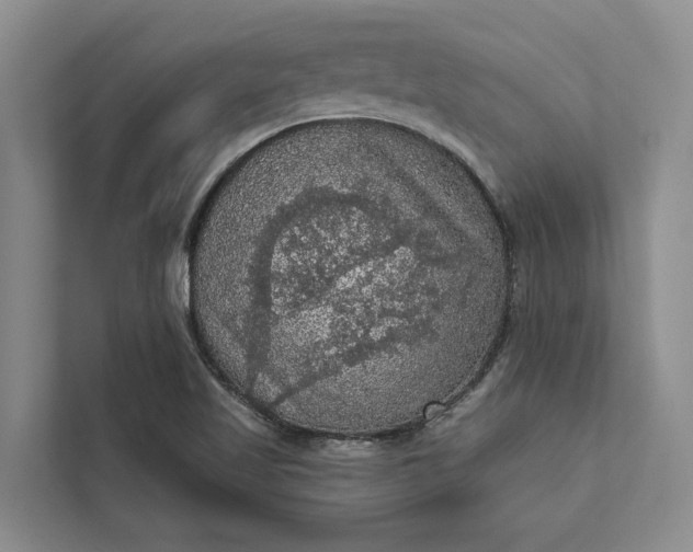 X0000112351509200908271222