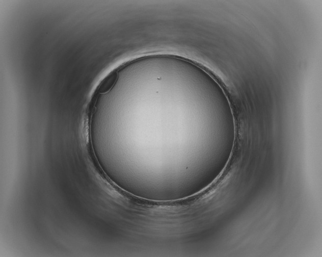 X0000112351510200908271222