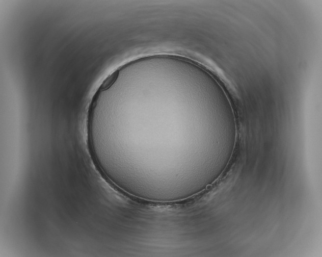 X0000112351512200908271222