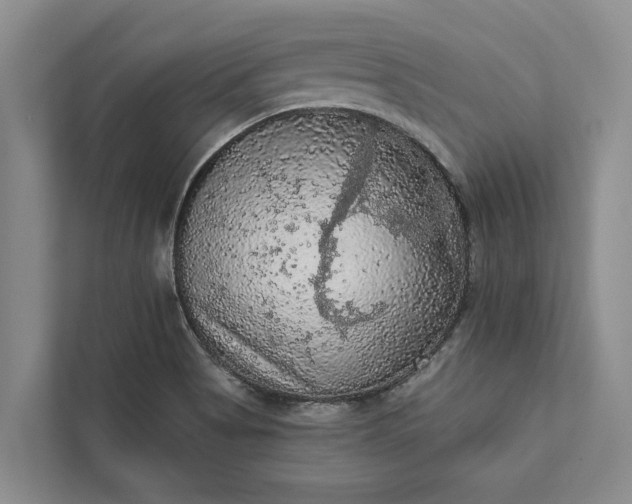 X0000112351513200908271222