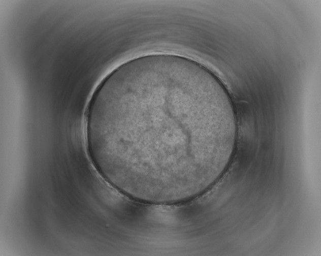 X0000112351514200908271222