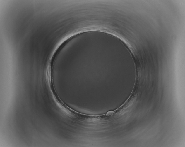 X0000112351515200908271222