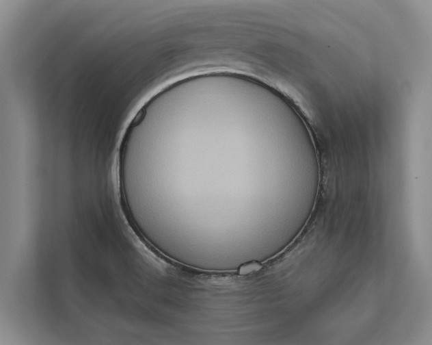 X0000112351516200908271222