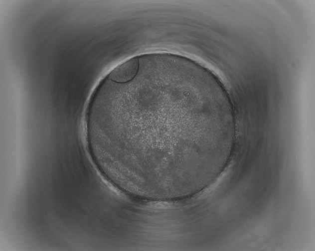 X0000112351517200908271222