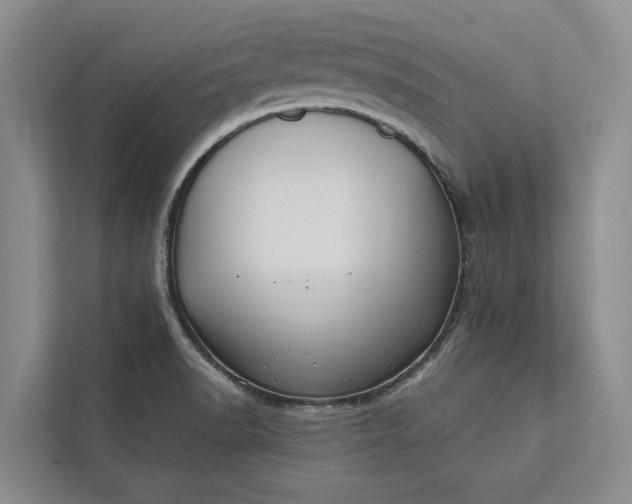 X0000112351518200908271222