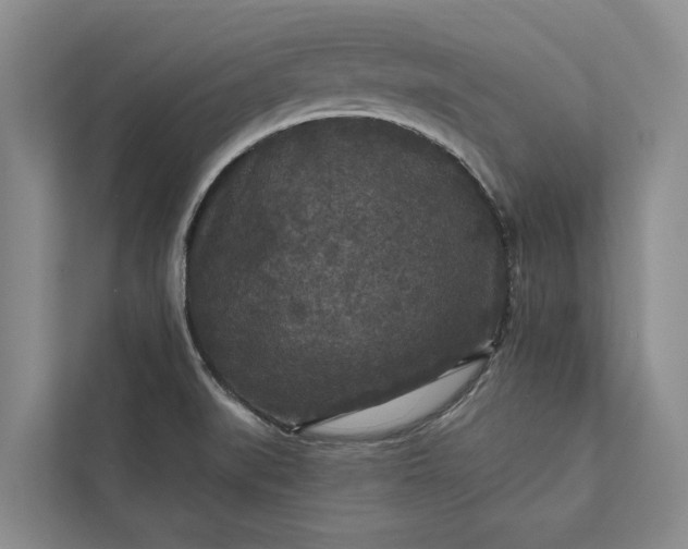 X0000112351519200908271222