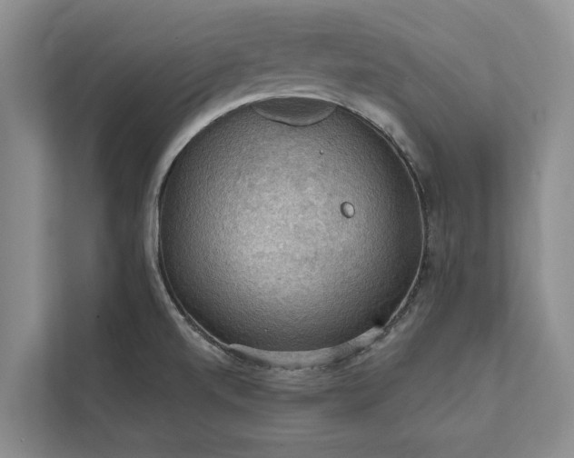 X0000112351520200908271222