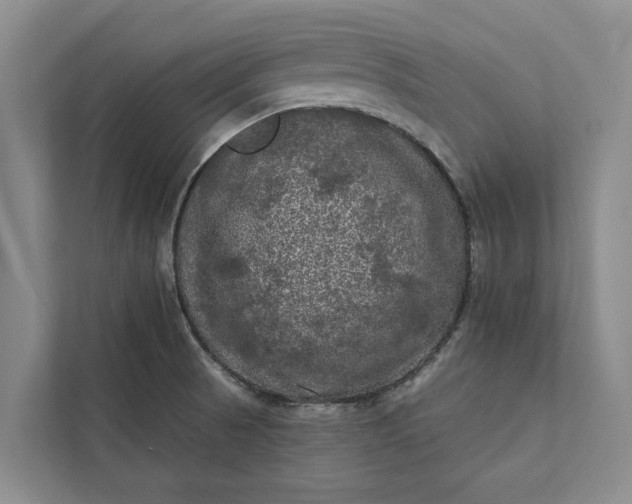 X0000112351521200908271222