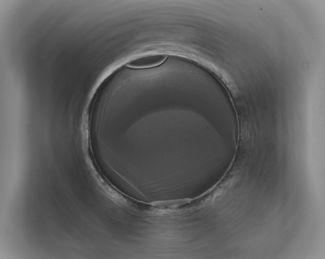 X0000112351522200908271222