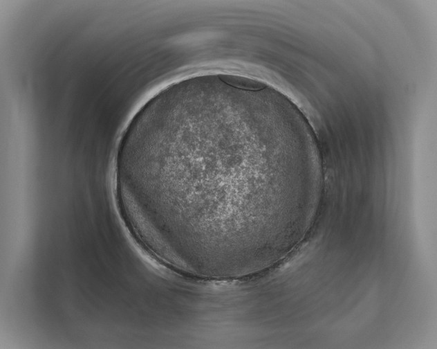 X0000112351523200908271222