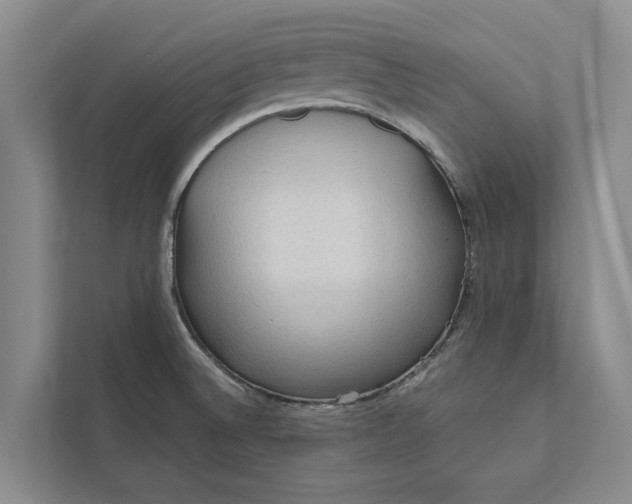 X0000112351524200908271223