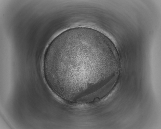 X0000112351525200908271223