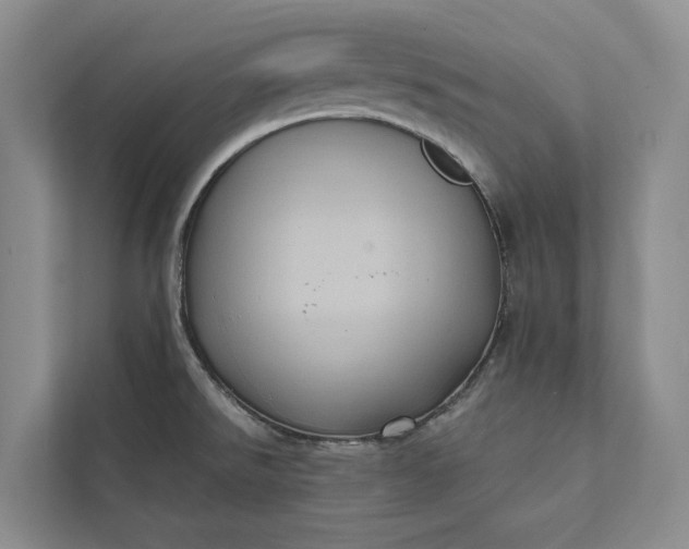 X0000112351526200908271223