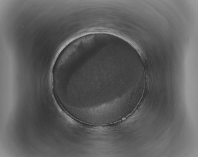 X0000112351527200908271223