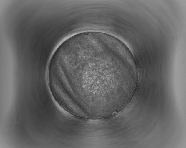 X0000112351531200908271223