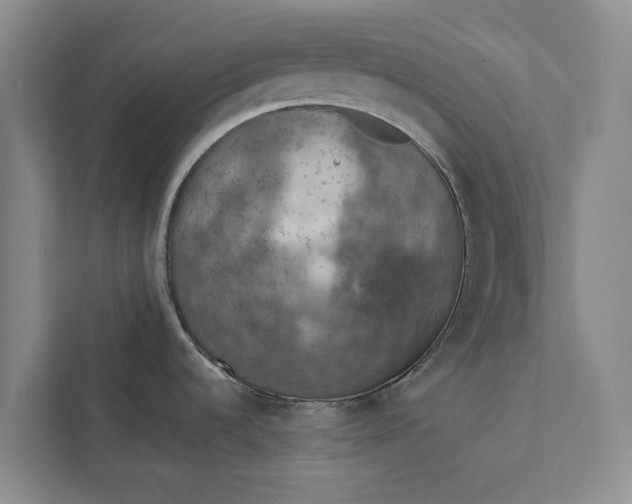 X0000112351536200908271223