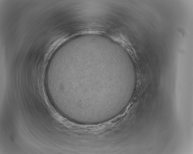 X0000112350001200909031859