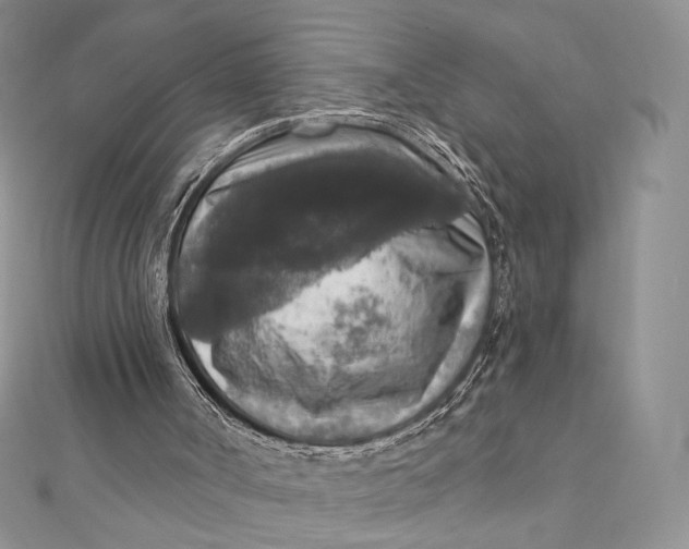 X0000112350002200909031859