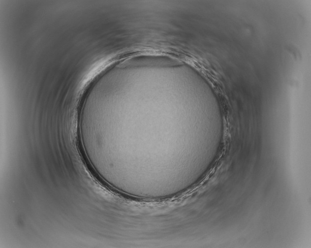 X0000112350005200909031859