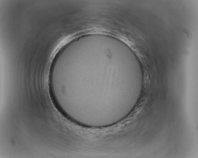 X0000112350007200909031859