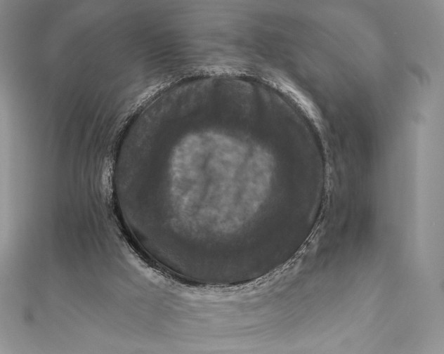 X0000112350009200909031859