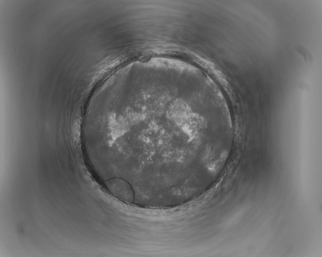 X0000112350010200909031859