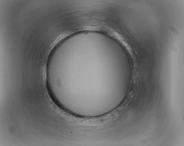 X0000112350011200909031859