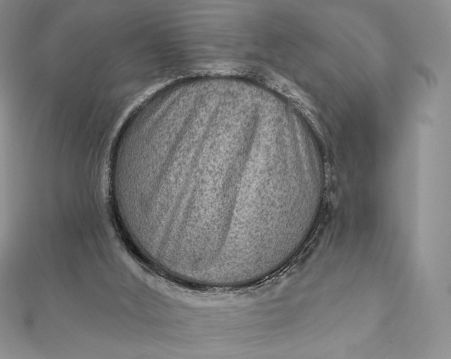 X0000112350012200909031859