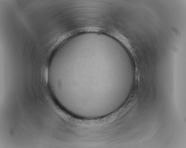 X0000112350013200909031859