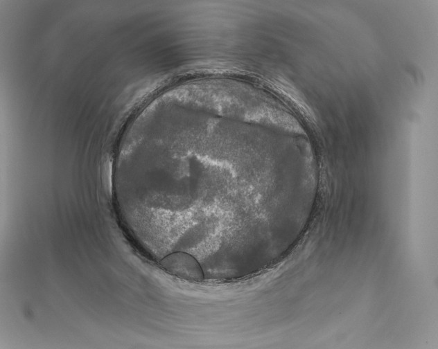 X0000112350014200909031859