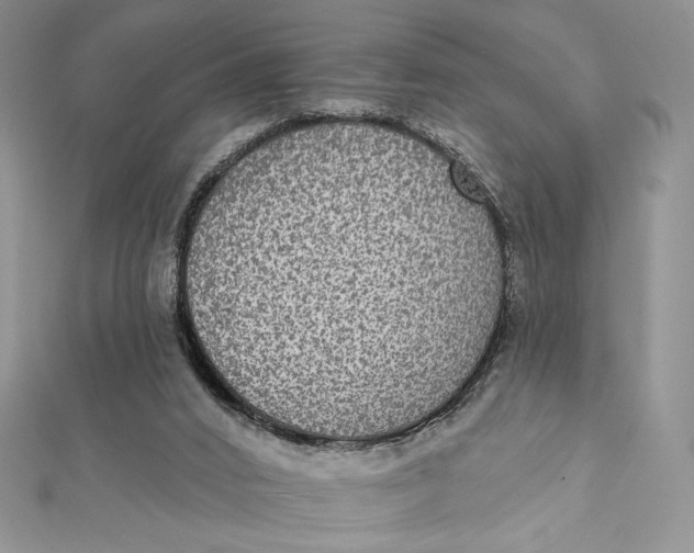 X0000112350016200909031859