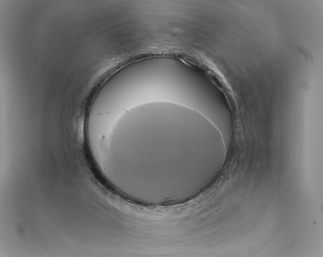 X0000112350019200909031859