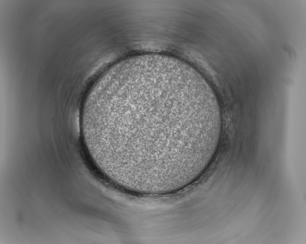 X0000112350020200909031859