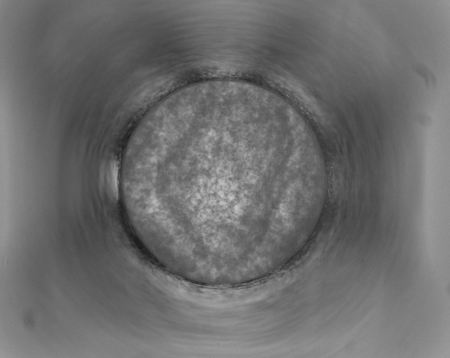 X0000112350022200909031859