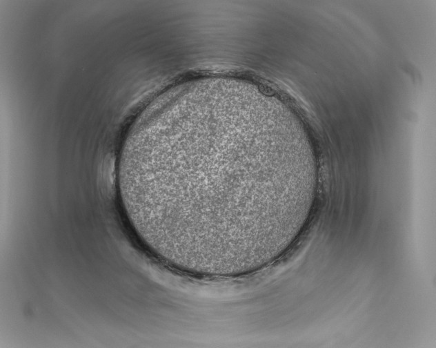 X0000112350024200909031859