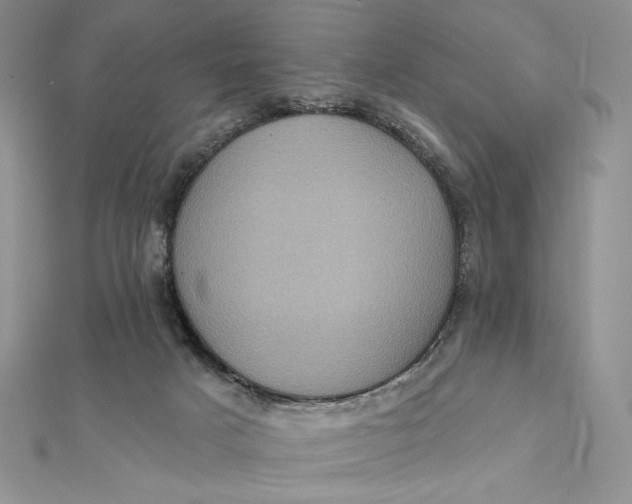 X0000112350025200909031859